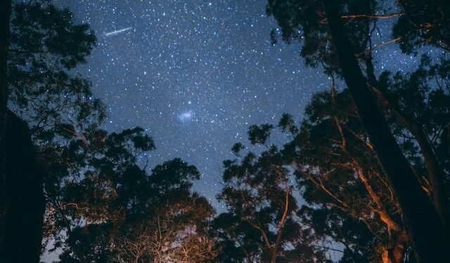 Plan a date night with your partner