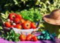 vegetable gardening