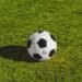 futbolear origins of futbolear