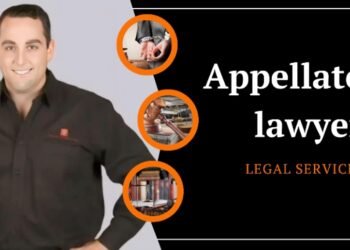 Federal appeals
