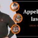 Federal appeals