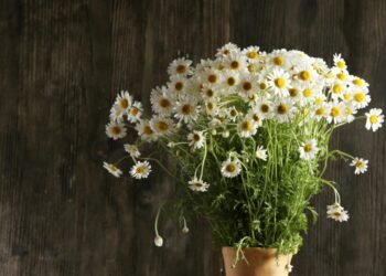 order flowers in Dubai