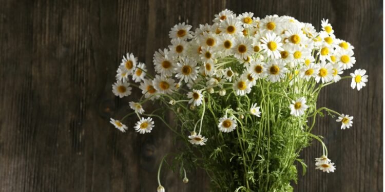 order flowers in Dubai