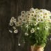 order flowers in Dubai