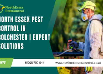 pest control in Colcheste