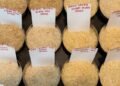 Rising Rice Prices