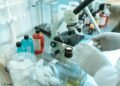 stem cell therapy