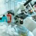 stem cell therapy
