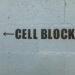 Bail Bonds 101