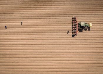 Top Digital Platforms for Agriculture: How Technology Is Reshaping the Future of Farming